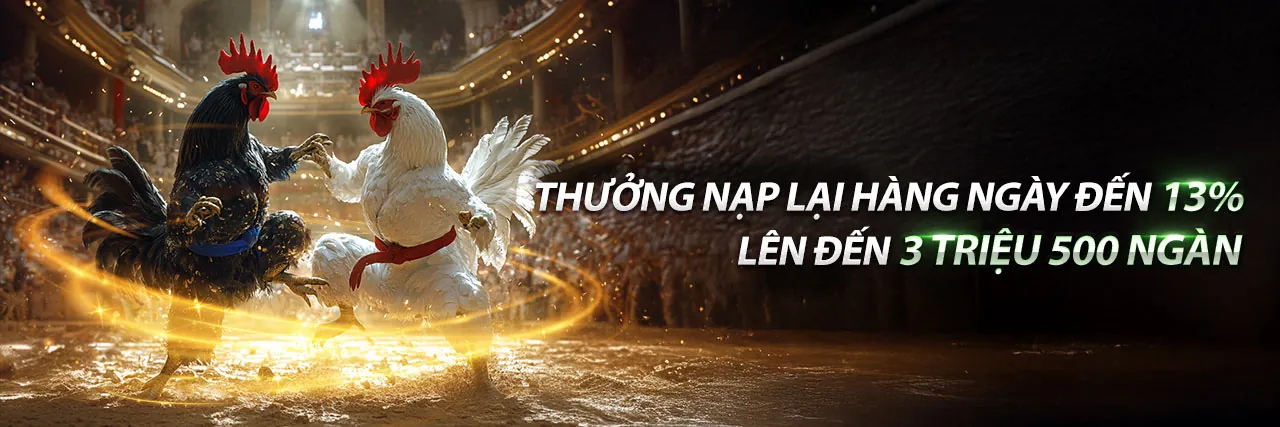 Tin tức mới nhất từ nhà cái g666